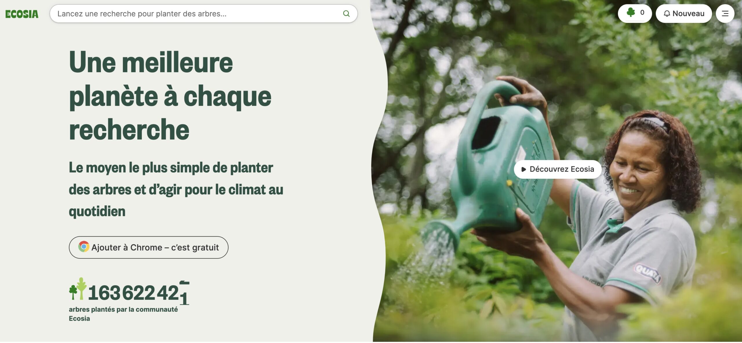 VSEP-Ecosia-Grand reboisement